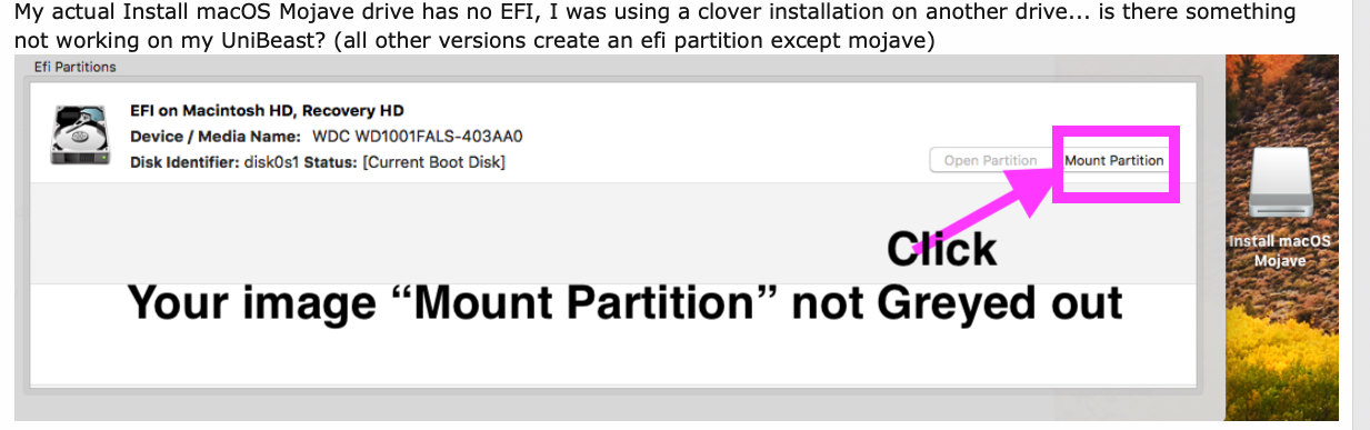1.EFI Partition not Mounted.png