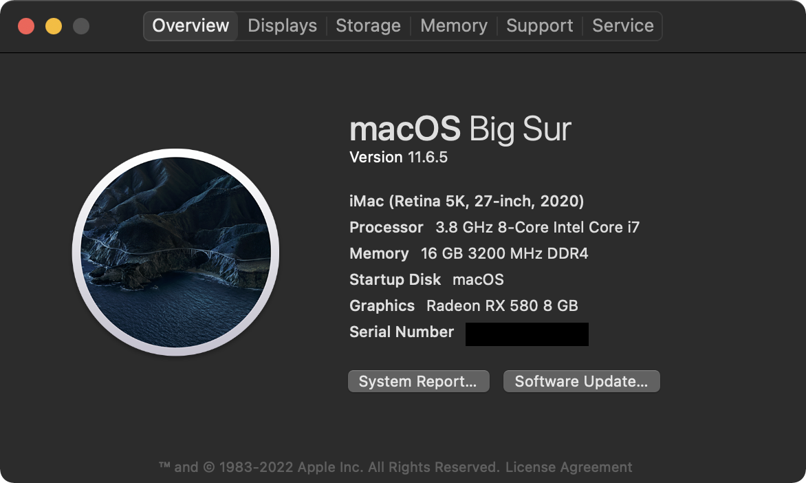 About This Mac 11.6.5.png