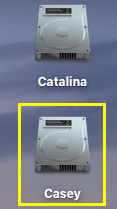 Disk Icons on Desktop.png