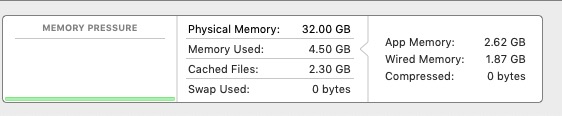 Memory - Activity Monitor.jpg