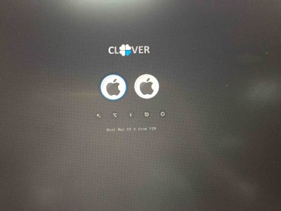 clover_1.jpg