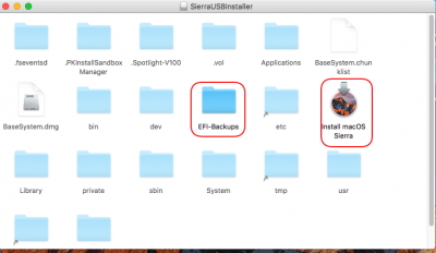 1.Sierra USB Installer Folders .png