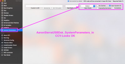 2.A.AaronSierraUSBDisk-config.plist_System Parameters.png