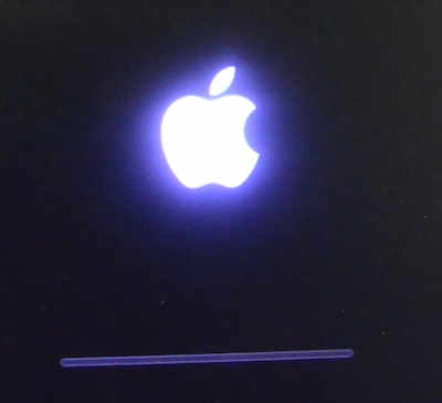 28.Normal transition from Verbose to Apple logo boot screen with Progress bar.png