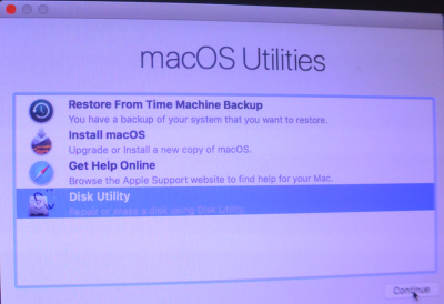 31.Disk Utility Install screen.png