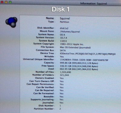 disk-1-squirrel-info.jpg