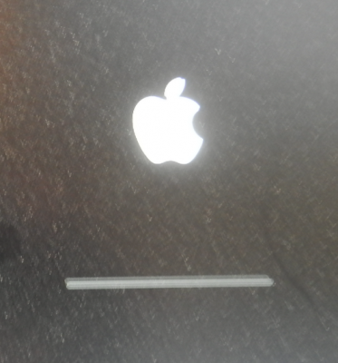 50Apple Logo boot HDD.png