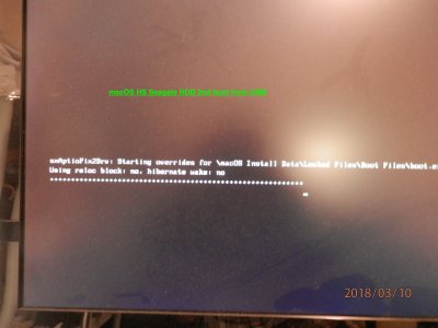 68. Verbose boot HS Segate second time from CBM.JPG