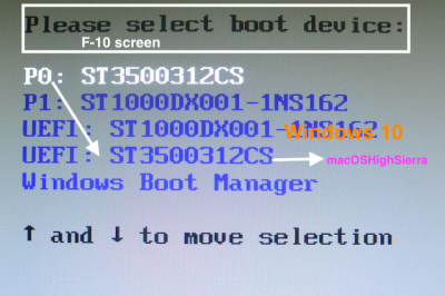 11. F-10 Boot Device Selection Screen.png