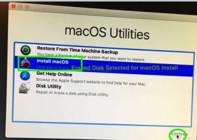 29.Erased Disk selected for MacOS Install .png