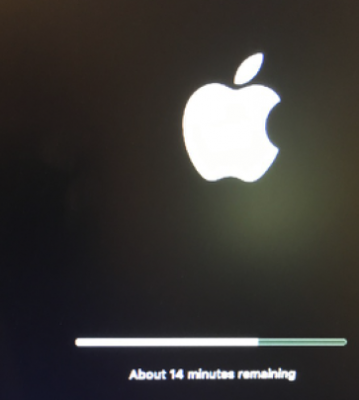 34.Installation 14 minutes remaining.png