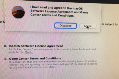 55.Agree to Terms and Conditions Screen.png