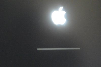 17.GUI Boot Apple logo.JPG