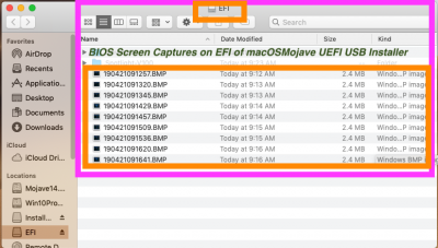 1. BIOS Screen Captures BMP on EFI of USB Installer.png
