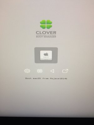 Clover - note aspect ratio.JPG