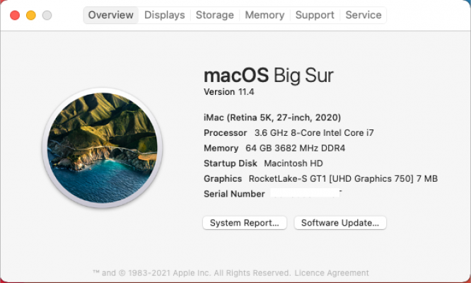 Z490 macOS About - Screenshot 2021-07-15 at 6.39.29 PM.png