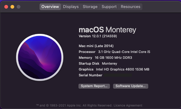 screenshot - About this Mac - Monterey.png
