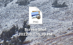 Screen Shot 2022-08-28 at 1.15.30 PM.png
