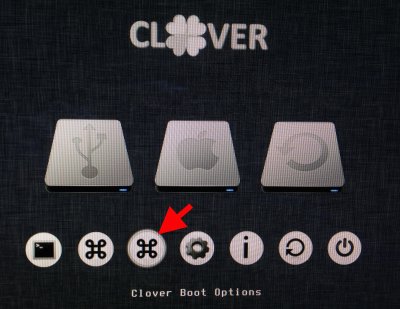 clover options.jpg