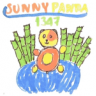 SunnyPanda1347
