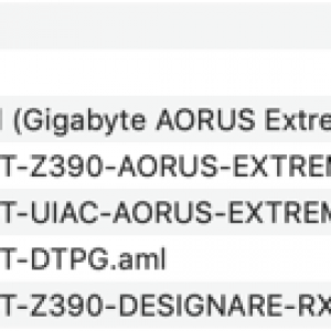 Patched - AORUS Extreme.png