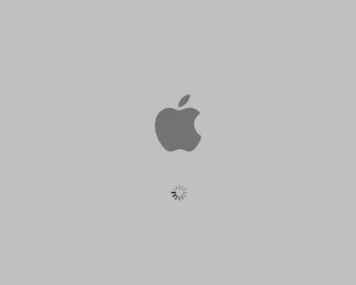 apple-spinner-animated.gif