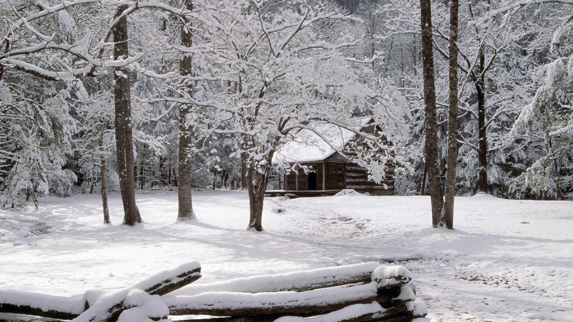 39273-winter-cabin-woods1920x1200.jpg